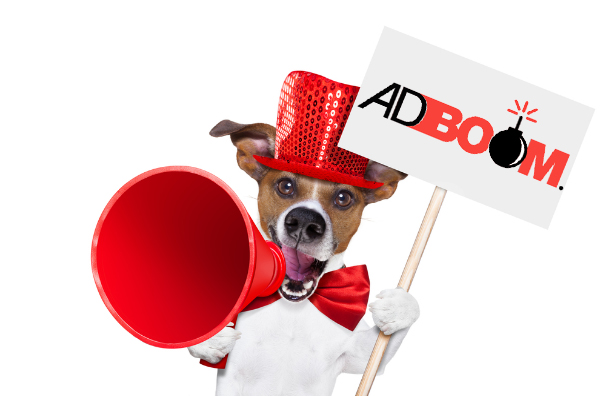 adboom gestionale annunci